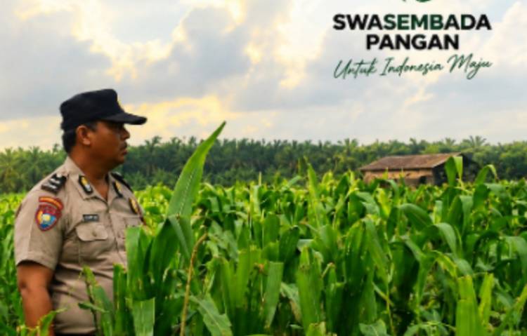 Semangat Bhabinkamtibmas dan Petani Kandis, Kekuatan Swasembada Pangan