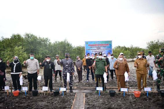 Cegah Abrasi, Gubernur Riau Tanam Bakau di Pulau Bengkalis
