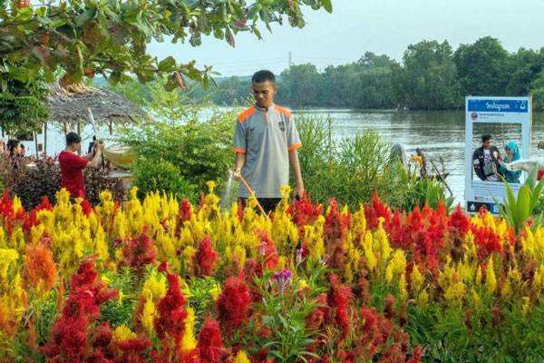 Objek Wisata Taman Bunga Okura Kembali Dibuka dengan Prokes Ketat