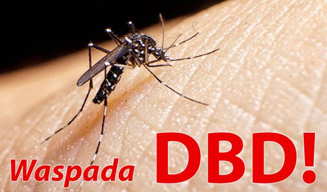 1.488 Kasus DBD di Riau, 11 Meninggal Dunia, Rohul Terbanyak