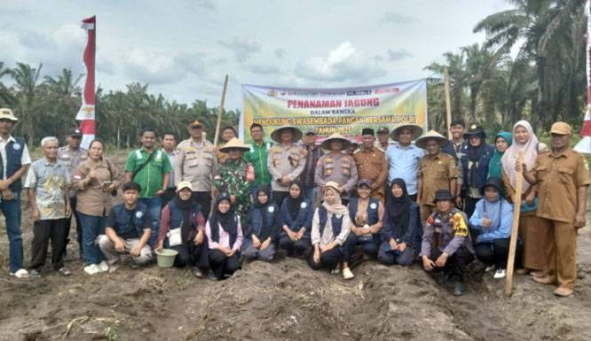 Polsek Kandis Gelar Penanaman Jagung Bersama Kelompok Tani "Garut Mandiri"
