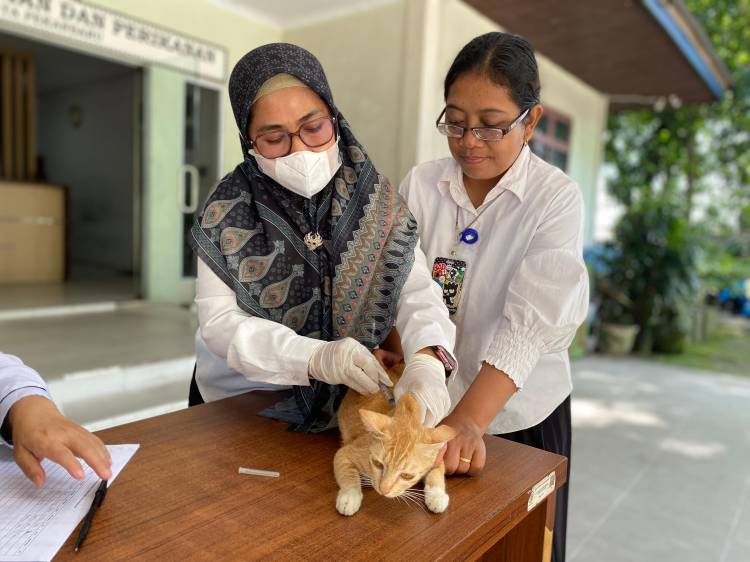 Waspada Rabies, Wali Kota Pekanbaru Terbitkan Edaran