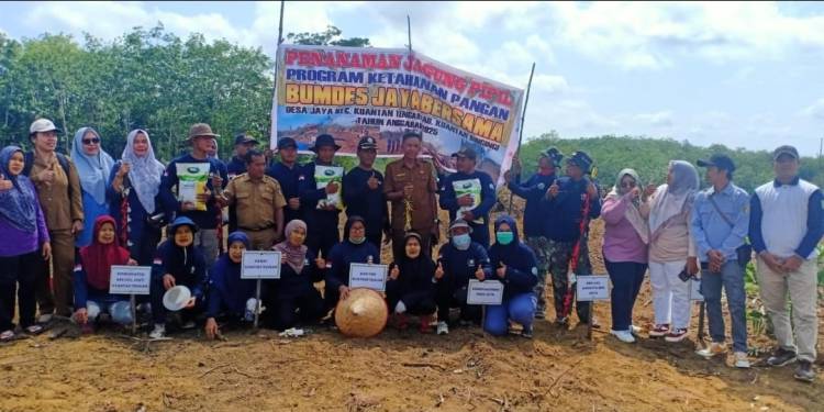 Dukung Ketahanan Pangan Nasional, Pemdes Desa Jaya Tanam Jagung Pipil