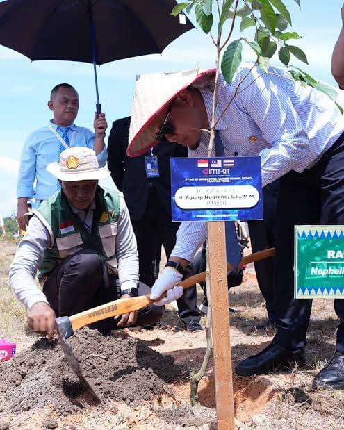 Merawat Masa Depan, Pemko dan DPRD Godok Perda Wajib Tanam 25 Pohon