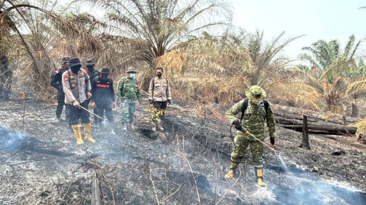 Bermalam di Lokasi Karhutla, Kapolres Inhu dan Dandim Padamkan Api Karhutla