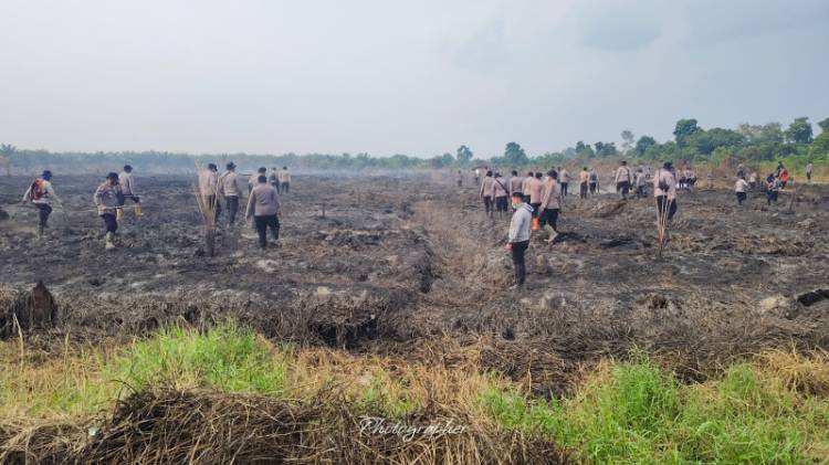 Potret Personel Polres Pelalawan dan Brimob Padamkan Karhutla, Pisahkan Bongkahan Kayu dari Gambut