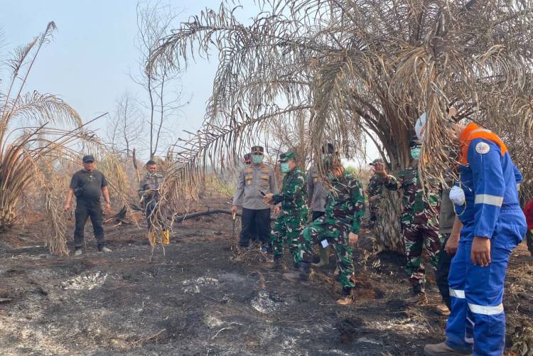 Pangdam XIX/Tuanku Tambusai dan Kapolda Riau Tinjau Pemadaman Karhutla di Sekitar TN Zamrud
