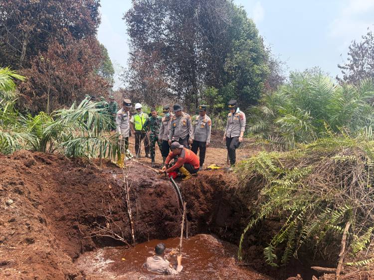 Tim Gabungan Berhasil Padamkan Api Karhutla di Kawasan Taman Nasional Zamrud