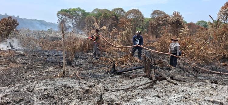 PPWI, BDPN, Kades dan Warga Pungkat Berjibaku Padamkan Api yang Membakar Kebun Warga