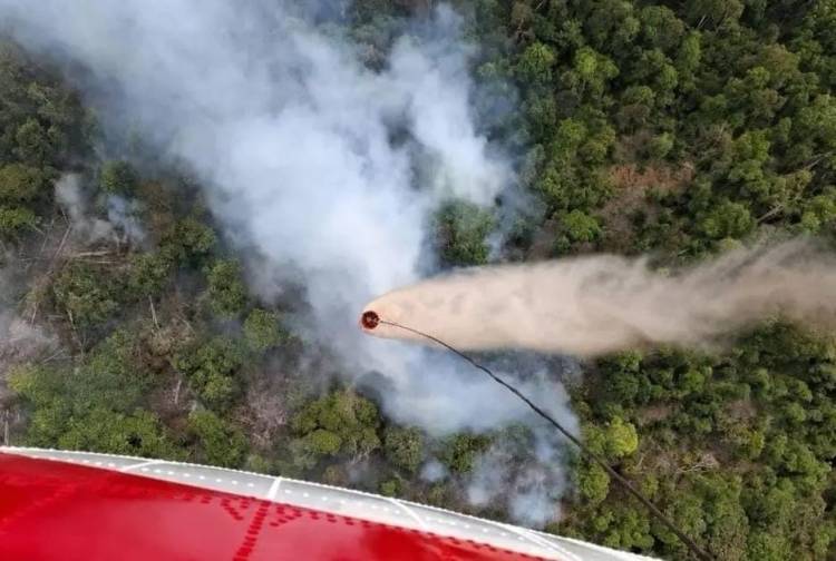Satgas Udara Gempur Karhutla Dua Desa di Inhu