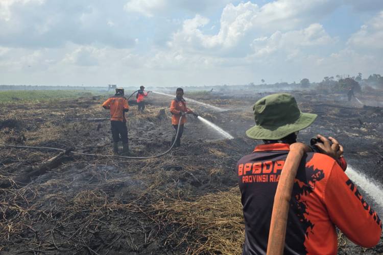 Legislator PKS Minta 30 Korporasi Karhutla Ditindak Tegas, Tak Hanya Menyasar Masyarakat Kecil