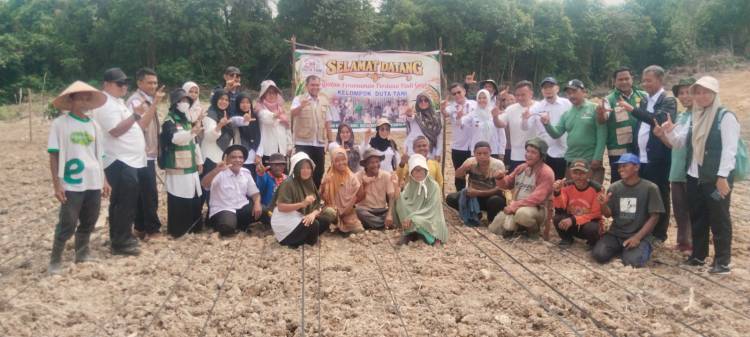 Kelompok Tani Duta Tani Mentangor Tanam Padi Gogo