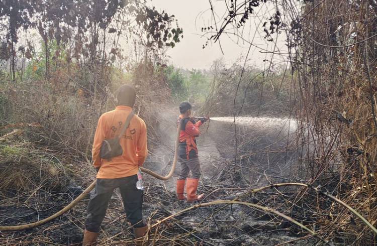 Petugas Terus Berjibaku Padamkan Karhutla Sungai Beringin Hingga Malam