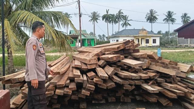 Diduga Hasil Ilog, Polres Rohil Sita 483 Keping Kayu Olahan