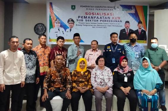 Disbun Bengkalis Sosialisasi KUR Sub Sektor Perkebunan