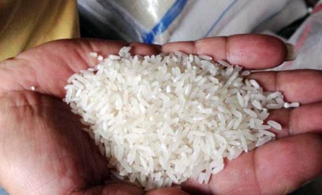 Heboh Beras Sintetis di Meranti, Hasil Lab Pastikan Beras Biasa