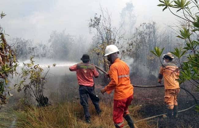 Menteri LHK: Tidak Ada Asap Indonesia Melintas Ke Malaysia