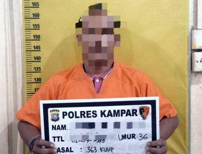 Curanmor di Pasar Air Tiris Terungkap, Tim Resmob Polres Kampar Bekuk Pelaku di Desa Muara Uwai