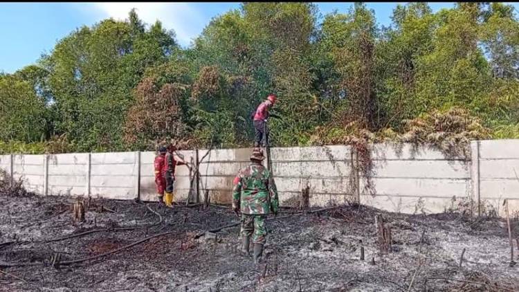 Titik Api Muncul di Rimbo Panjang, Indikasi Sengaja Dibakar