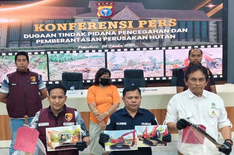 Perambah 13 Hektar Hutan Cagar Biosfer Giam Siak Kecil Ditangkap