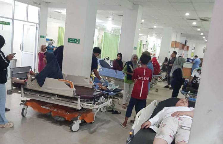 Kasus Gigitan Rabies di Pekanbaru Cenderung Menurun, Masyarakat Diimbau Tetap Waspada