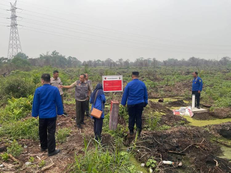 BPBD PK Riau dan Pekanbaru Sisir Lahan Bekas Terbakar di Payung Sekaki