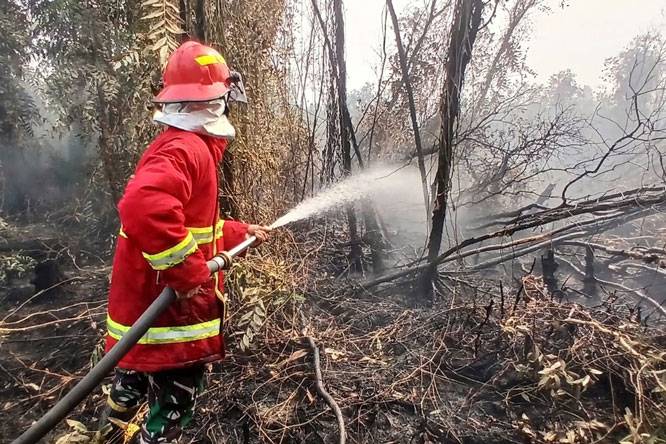 Satgas Darat Lanud Sjamsudin Noor Lakukan Pembasahan dan Pendinginan Secara Intensif