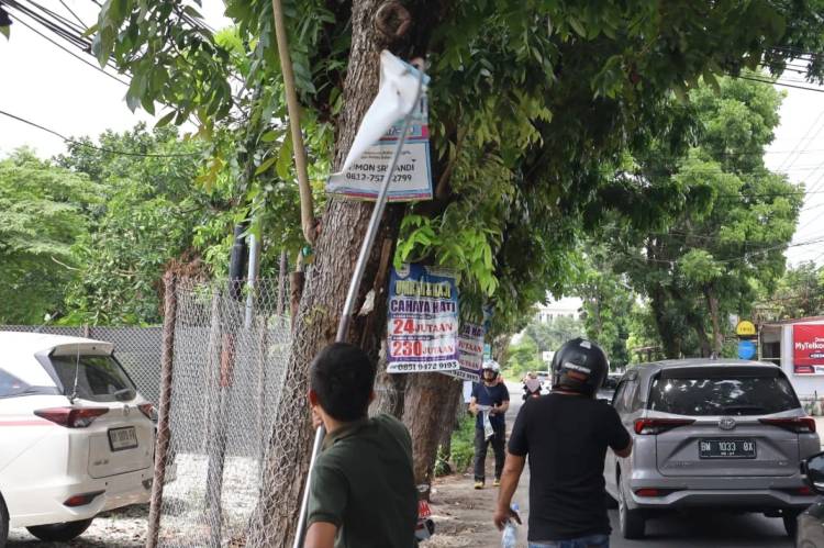 Bapenda Pekanbaru Tertibkan Reklame yang Dipasang di Pohon