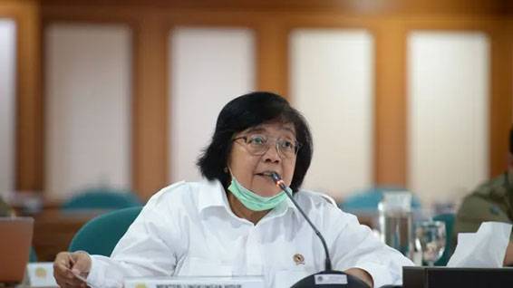 Menteri LHK Siti Nurbaya Kritik Istilah Deforestasi: Tak Sesuai di Indonesia