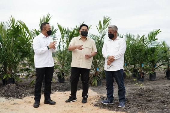 Erick Thohir Tanam Perdana Sawit Rakyat di Riau