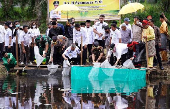 Gubri Tebar 6.000 Benih Ikan dan Tanam 2.500 Bibit Pohon di Desa Kesumbo Ampai