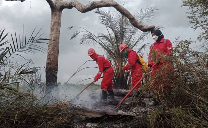 BPBD Riau Belum Akhiri Siaga Darurat Karhutla