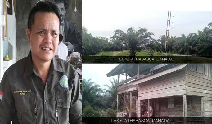 Siapkan Gugatan, INPEST Ungkap Dugaan Perkebunan Sawit Ilegal di Kawasan Hutan Inhil