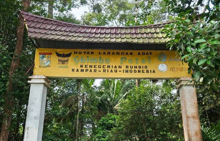 Pengakuan Hutan Adat Kunci Kurangi Deforestasi