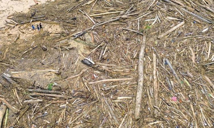 Ada Persoalan Tata Kelola Lingkungan dalam Tragedi Banjir di Sumatera