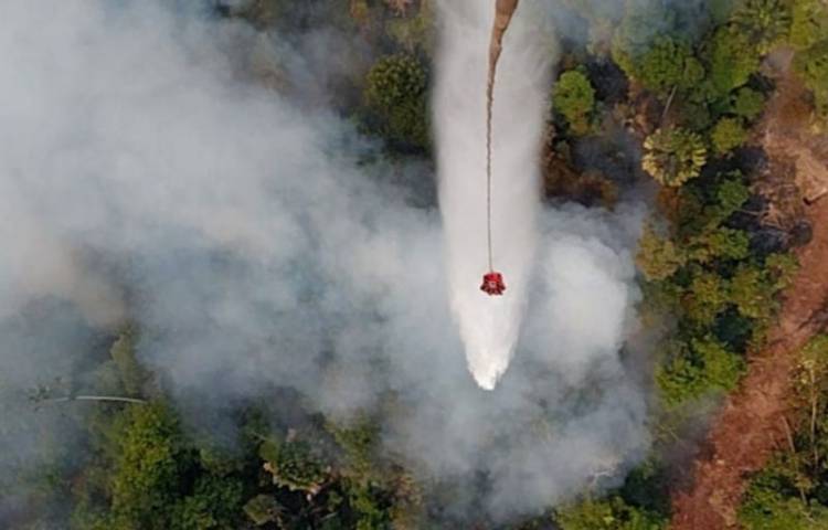 Operasi Gabungan Darat-Udara di Riau Dilakukan untuk Pemadaman Karhutla di Tujuh Daerah
