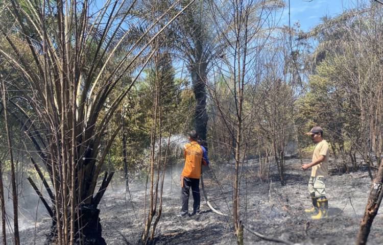 Pekanbaru Panas Bedengkang,  BPBD Berjibaku Padamkan Karhutla