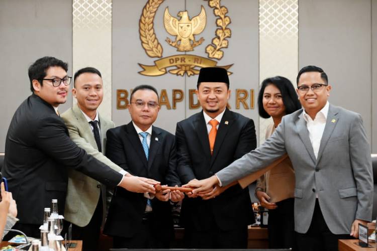 Syahrul Aidi Pimpin BKSAP DPR RI
