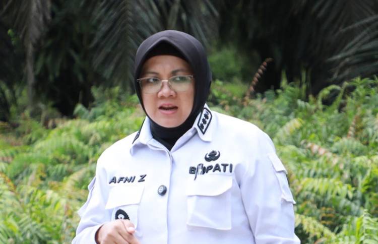 Afni Coret Usulan Pembelian Mobil Dinas Baru
