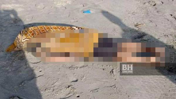 Speedboat Imigran Gelap Tenggelam di Johor, 10 Tewas 29 Orang Hilang