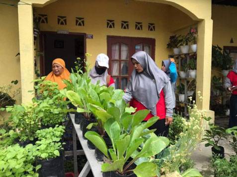 Kompetisi Warga Dalam Menciptakan Apotik Hidup di Masa Pandemi Covid-19