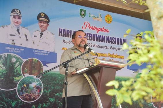 Dorong Perekonomian Daerah, Bupati Kasmarni Bertekad Perhatikan Pelaku Perkebunan