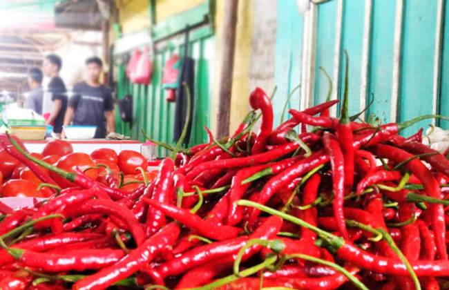 Inflasi, Disperindagkop Riau Pastikan 12 Bahan Pokok di Riau Aman