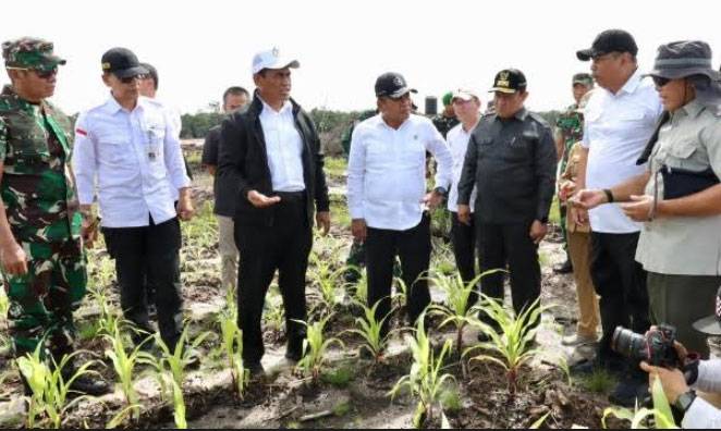Berkunjung ke Palangkaraya, Wamenhan M. Herindra Tinjau Lokasi Food Estate