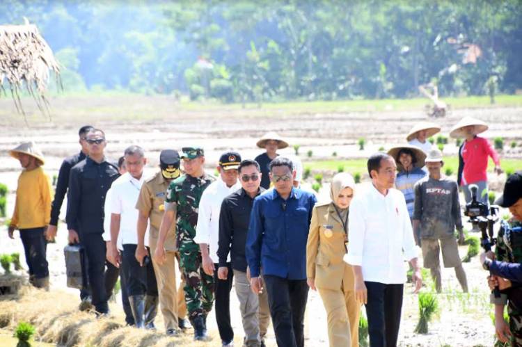 Panglima TNI Dampingi Presiden RI Tanam Padi di Jawa Tengah