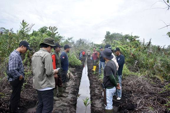 YKAN Lakukan Monitoring dan Evaluasi Ke-IV Restorasi Mangrove Desa Teluk Pambang