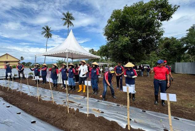 Program Ketahanan Pangan, Zona Bakamla Tengah Tanam 10.000 Bibit Cabai