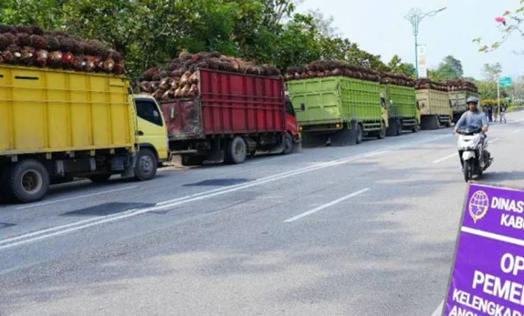 Truk Sawit di Siak Dilarang Melintasi Jalan Ramai Pelajar