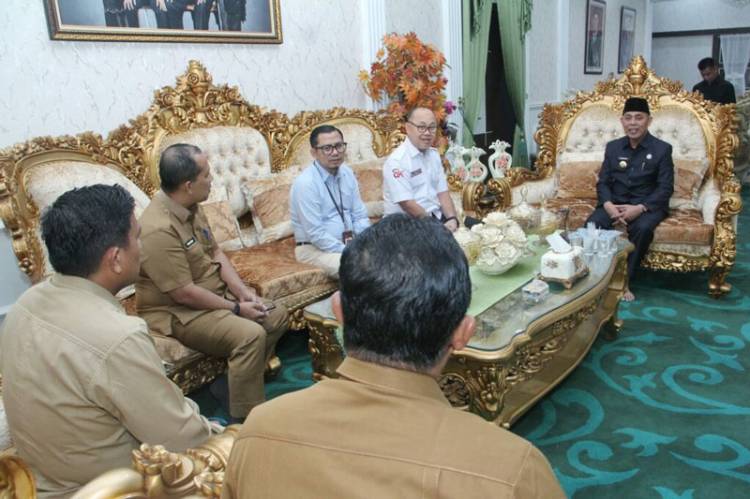 Bupati Inhil Terima Kunjungan OJK Riau