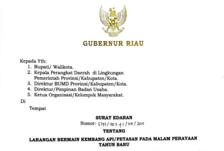 Imbauan Pemprov Riau, Malam Tahun Baru 2026 Tanpa Kembang Api dan Petasan